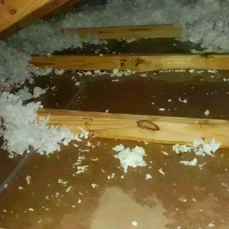 Attic Water Damage in Farmersville, TX